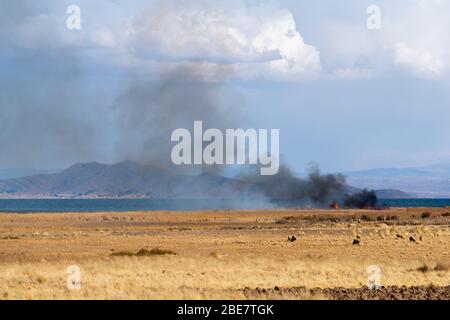 Landwirtschaft und Verlagerunganbau in der Region Altiplano, Halbinsel Huata, Departement La Paz, Bolivien, Lateinamerika Stockfoto