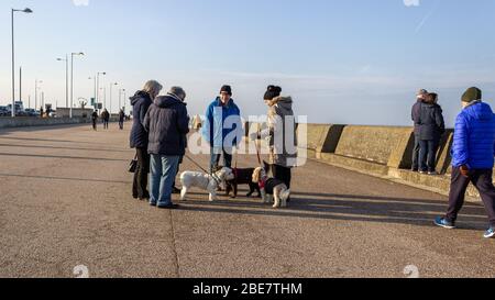 Promenade Ian Fraser Walk, Hundespaziergänger treffen und reden, New Brighton, Wallasey Stockfoto