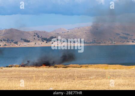 Landwirtschaft und Verlagerunganbau in der Region Altiplano, Halbinsel Huata, Departement La Paz, Bolivien, Lateinamerika Stockfoto