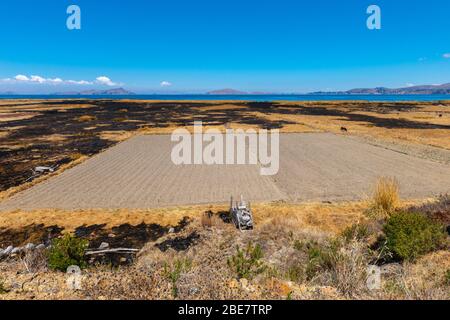 Landwirtschaft und Verlagerunganbau in der Region Altiplano, Halbinsel Huata, Departement La Paz, Bolivien, Lateinamerika Stockfoto