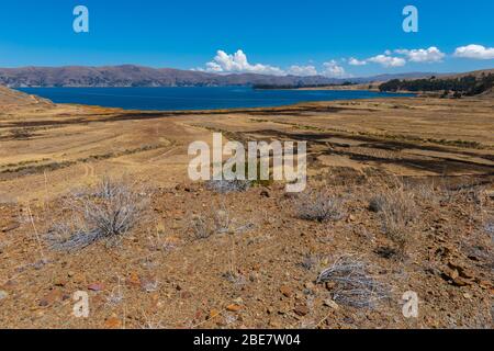 Landwirtschaft in der Region Altiplano, Halbinsel Huata, Departement La Paz, Bolivien, Lateinamerika Stockfoto