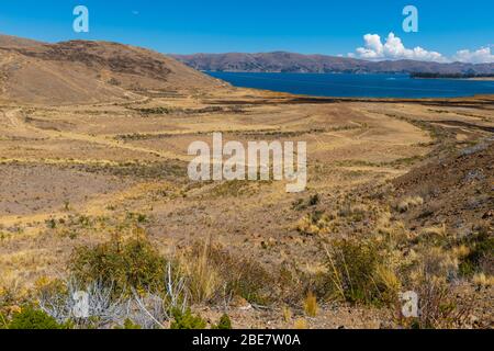 Landwirtschaft in der Region Altiplano, Halbinsel Huata, Departement La Paz, Bolivien, Lateinamerika Stockfoto