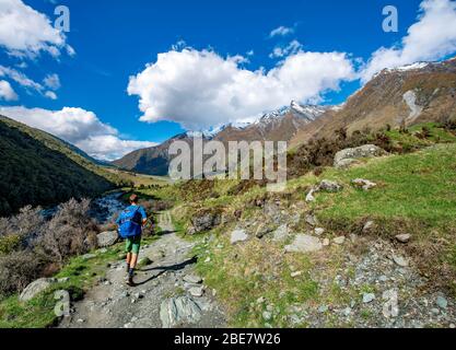 Wanderer auf dem Weg zum Rob Roy Gletscher, Rob Roy Stream, Mount Aspiring Nationalpark, Otago, South Island, Neuseeland Stockfoto