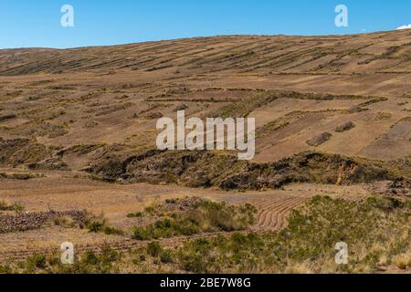 Landwirtschaft in der Region Altiplano, Halbinsel Huata, Departement La Paz, Bolivien, Lateinamerika Stockfoto