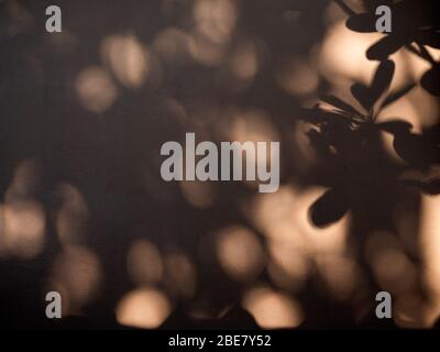 Natürliche Blätter Schatten Hintergrund mit Licht Bokeh auf braunen Wand Textur für Hintergrund. Entspannungshintergrund Konzept. Stockfoto