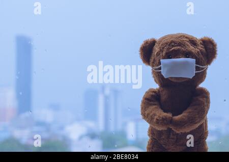 Teddybär trägt Maske am Fenster stehen, während es in der Monsunzeit regnet. Bleiben Sie fern vom Virenkonzept zu Hause. Stockfoto