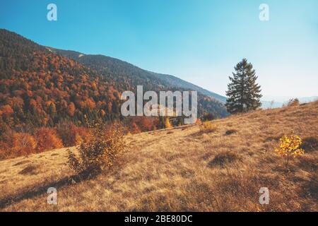 Herbst in den Bergen. Blick auf die Berge im Herbst. Schöne Naturlandschaft. Karpaten. Synevyr-Pass, Gebiet Sakarpattia, Ukraine Stockfoto