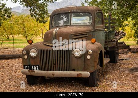 Südafrika; Franschhoek; La Motte. Eikehof Winery, alte rostende 1942 Ford Cape Ruby Truck Stockfoto