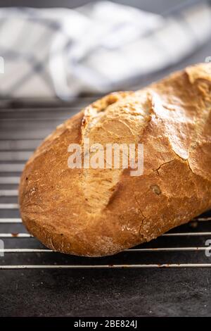 Porträt eines knusprigen Brotes auf einem Backgitter mit einem weißen Handtuch Hintergrund Nahaufnahme platziert. Stockfoto