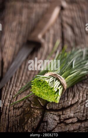 Bund frisch geschnittener Schnittlauch, eingewickelt von einem Jutebinden auf einem Vintage-Holz neben einem Messer. Stockfoto