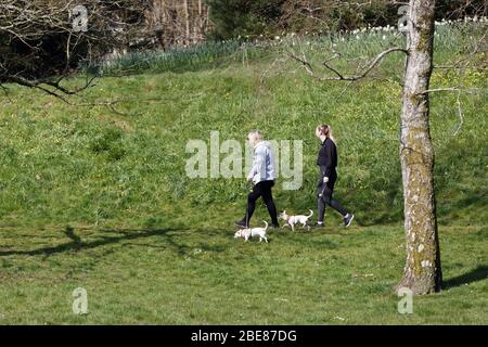 Im Bild: Zwei Frauen laufen ihre Hunde im Singleton Park in Swansea, Wales, Großbritannien. Freitag 27 März 2020 Re: Covid-19 Coronavirus Pandemie, UK. Stockfoto