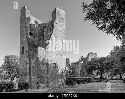 Der antike Torre di Mezzo Turm im Corsini Park in Fucecchio, Florenz, Italien, an einem schönen sonnigen Tag, in schwarz-weiß Stockfoto