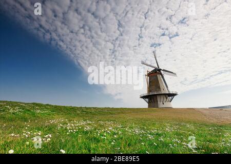 Charmante Windmühle über blauem Himmel auf grüner Wiese Stockfoto