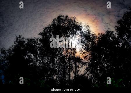 Vollmond steigt in einem dunklen Nachthimmel auf Stockfoto