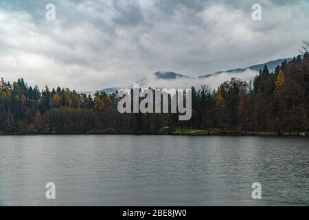 Küste von Bled See, Berge mit Wald und Nebel. Fall in Bled, Slowenien Stockfoto