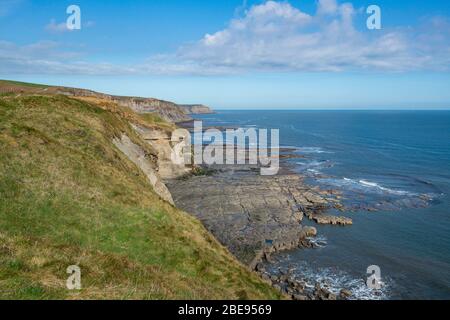 Frühlingsblick auf die Klippen entlang der Route des Cleveland Way Fernstrecke zwischen Robin Hood's Bay und Whitby Stockfoto