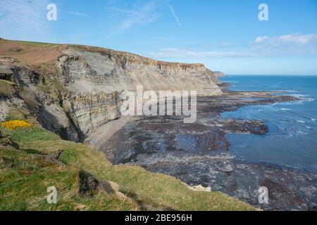 Frühlingsblick auf die Klippen entlang der Route des Cleveland Way Fernstrecke zwischen Robin Hood's Bay und Whitby Stockfoto