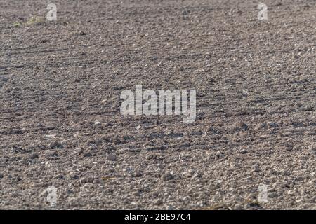 Feld von vorbereiteten Boden und gepflanzten Samen. Metapher Landwirtschaft und Landwirtschaft Großbritannien, Anbau von Kulturpflanzen, Bodenkunde, Bodenarten, Bodenvorbereitung. Stockfoto