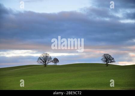 Hügelige Landschaft im bayerischen Voralpenland bei Steingaden im Allgäu, Schwaben, Bayern, Deutschland, Europa Stockfoto