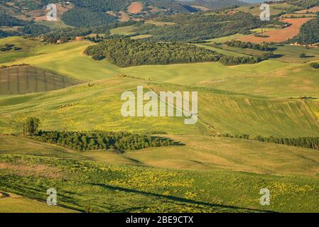 Herrliche Frühling ländliche Landschaft. Atemberaubende Aussicht auf toskanische grüne Wellen Hügel, erstaunliche Sonnenlicht, schöne goldene Felder und Wiesen.Toskana, Italien Stockfoto