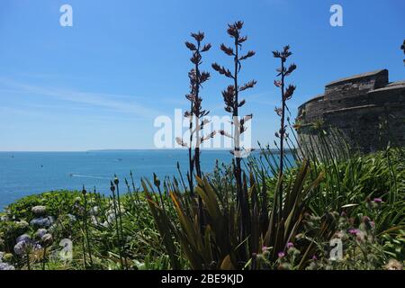 St. Mawes Castle an einem sonnigen Tag. Stockfoto