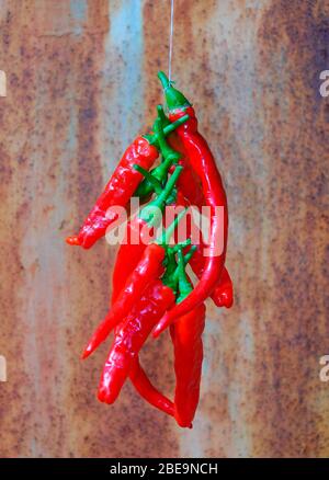 Eine Reihe von langen roten Chili-Paprika vor einem verrosteten Metallhintergrund Stockfoto