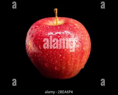 Schöner roter Apfel mit Wassertropfen auf schwarzem Hintergrund Stockfoto