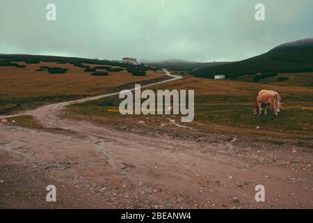 Panorama Straße nach dem Regen in Berg Foggy Karpaten Berge Gipfel an einem nebligen Herbstmorgen. Bucegi Mountains, Rumänien Europa Stockfoto