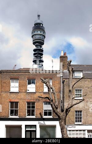 Georgian Terrace Communications BT Tower, 60 Cleveland Street, Fitzrovia, London W1T von Eric Bedford Stockfoto