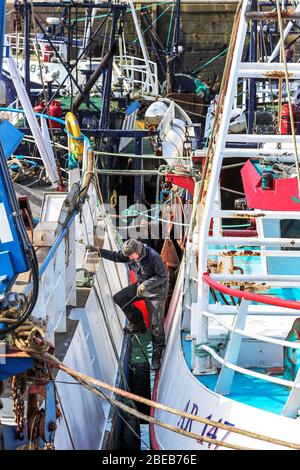 Troon, Ayrshire, Großbritannien. April 2020. Die Sperrung des Coronavirus wirkt sich auf die schottische Fischereiflotte aus, da alle Fischmärkte geschlossen und alle Fischerboote und Trawler auf unbestimmte Zeit festgemacht werden, was bedeutet, dass die Fischereicrews kein regelmäßiges Einkommen haben. Hier VERBRINGT ROBIN GIBSON, ein Fischer aus Ayrshire, seinen Ostersonntag damit, sein Boot zu einer Zeit zu pflegen, in der er auf See sein würde. Kredit: Findlay/Alamy Live News Stockfoto