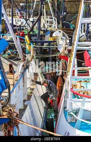 Troon, Ayrshire, Großbritannien. April 2020. Die Sperrung des Coronavirus wirkt sich auf die schottische Fischereiflotte aus, da alle Fischmärkte geschlossen und alle Fischerboote und Trawler auf unbestimmte Zeit festgemacht werden, was bedeutet, dass die Fischereicrews kein regelmäßiges Einkommen haben. Hier VERBRINGT ROBIN GIBSON, ein Fischer aus Ayrshire, seinen Ostersonntag damit, sein Boot zu einer Zeit zu pflegen, in der er auf See sein würde. Kredit: Findlay/Alamy Live News Stockfoto