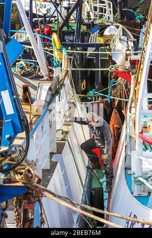 Troon, Ayrshire, Großbritannien. April 2020. Die Sperrung des Coronavirus wirkt sich auf die schottische Fischereiflotte aus, da alle Fischmärkte geschlossen und alle Fischerboote und Trawler auf unbestimmte Zeit festgemacht werden, was bedeutet, dass die Fischereicrews kein regelmäßiges Einkommen haben. Hier VERBRINGT ROBIN GIBSON, ein Fischer aus Ayrshire, seinen Ostersonntag damit, sein Boot zu einer Zeit zu pflegen, in der er auf See sein würde. Kredit: Findlay/Alamy Live News Stockfoto