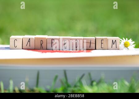Holzwürfel mit den Worten Carpe Diem, was bedeutet, den Tag zu ergreifen, in grünem hellem Gras und einem weißen Gänseblümchen, Sommer Hintergrund Stockfoto