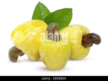 Cashew Frucht auf weißem Hintergrund Stockfoto