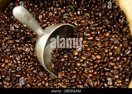 Kaffeebohnen im Supermarkt, New York City, USA Stockfoto