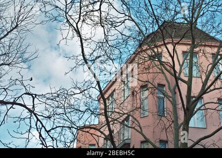 Baumzweige vor dem rosa Wohnhaus in Charlottenburg Berlin Stockfoto