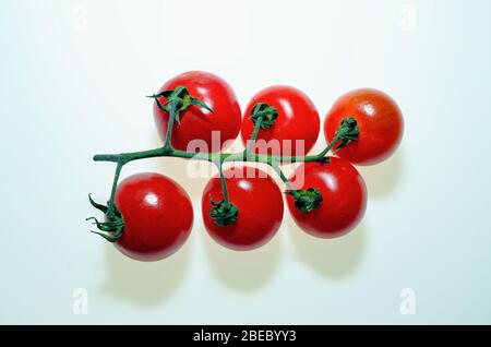 Eine Rebe aus sechs roten Kirschtomaten auf weißem Hintergrund Stockfoto