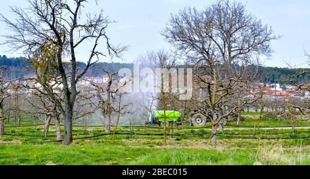 Bauer sprühen Apfelgarten im april, Frühlingsbild Stockfoto