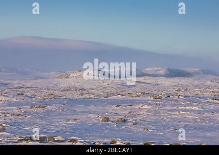 Verschneite und windige offene Tundra-Landschaft entlang des Burgeo Highway, Route 480, nahe Burgeo in Neufundland, Kanada Stockfoto