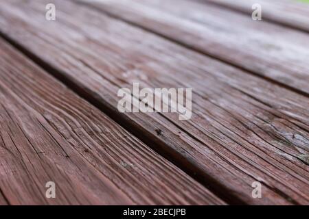 Holzkörner sichtbar von verwitterten Pechtäfig Platten braun lackiert Stockfoto