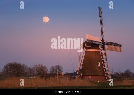 Sonnenuntergang und Vollmond bei Windmühle Meervogel am Hoeksmeer, nahe Garrelsweer in der Provinz Groningen, Niederlande Stockfoto