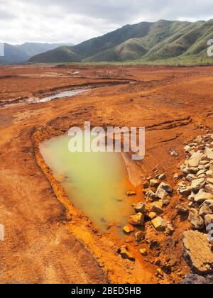 Red Dirt, Blue River Provincial Park, Neukaledonien Stockfoto