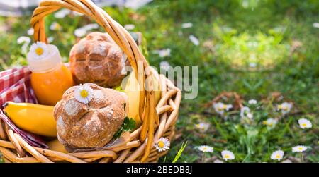 Mittagessen im Park auf dem grünen Gras. Sommer sonniger Tag und Picknickkorb. Sandwiches, Burger für Street Food im Freien. Kopierbereich. Stockfoto