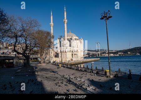 Istanbul, Türkei. April 2020. Tauben sind während der zweitägigen Ausgangssperre, die die türkische Regierung verhängt hat, um die Ausbreitung des Corona-Virus zu stoppen, vor der Bosporus-Brücke und der Ortaköy-Moschee unterwegs. Quelle: Yasin Akgul/dpa/Alamy Live News Stockfoto