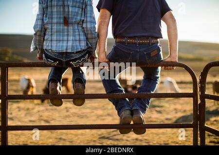 Reifes Paar, das Seite an Seite auf einem Zaun auf ihrer Ranch sitzt Stockfoto