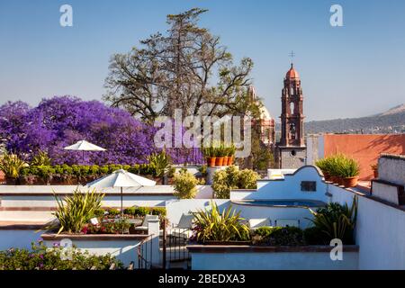 Terrasse mit Blick auf den Templo de San Francisco in San Miguel de Allende, Mexiko. Stockfoto