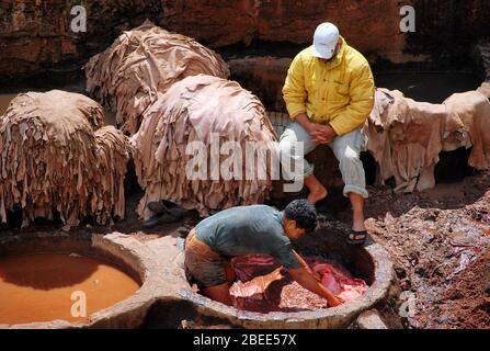 Arbeiter in Chouara Tannery, Fes - Marokko Stockfoto