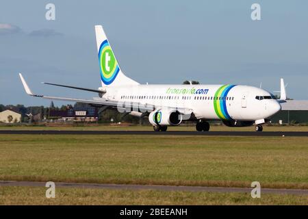 Amsterdam / Niederlande - 13. August 2014: Transavia Boeing 737-800 PH-HSA Passagierflugzeug Ankunft und Landung am Flughafen Amsterdam Schipol Stockfoto