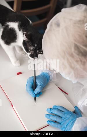 Mädchen im schützenden weißen, lichtdurchlässigen Anzug, blaue Gummihandschuhe, eine medizinische Maske sitzt zu Hause auf dem Sofa und spielt mit Tuxedo-Katze. Bleiben Sie während der Reise zu Hause Stockfoto