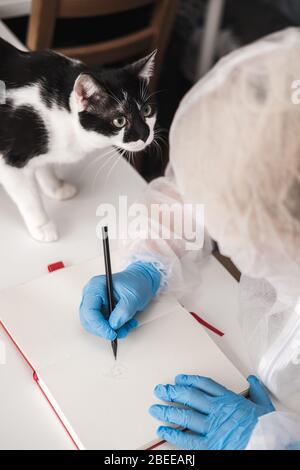 Mädchen im schützenden weißen, lichtdurchlässigen Anzug, blaue Gummihandschuhe, eine medizinische Maske sitzt zu Hause auf dem Sofa und spielt mit Tuxedo-Katze. Bleiben Sie während der Reise zu Hause Stockfoto